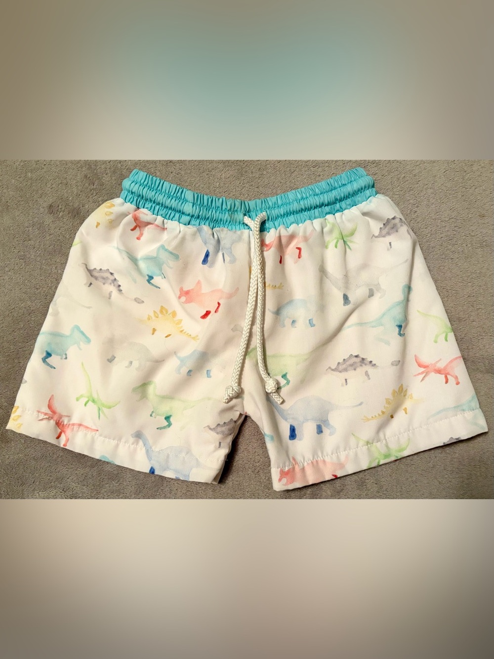 Boy’s Saving Grace Smocks Dino Swim Shorts Sz 2T Teal Elastic Drawstring Waist
